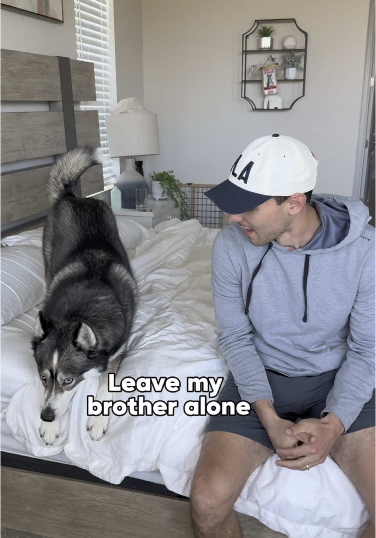 I don’t think Blue Is gonna let the spare live this one down…  #dogsoftiktok #dogsoftiktokviral #dogs #dog #husky #huskies #funny #imsohungry 
