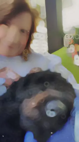 Hoping May is going to be an amazing month for all of us!!!#CapCut #friends #followers #family #dogmom #spring 