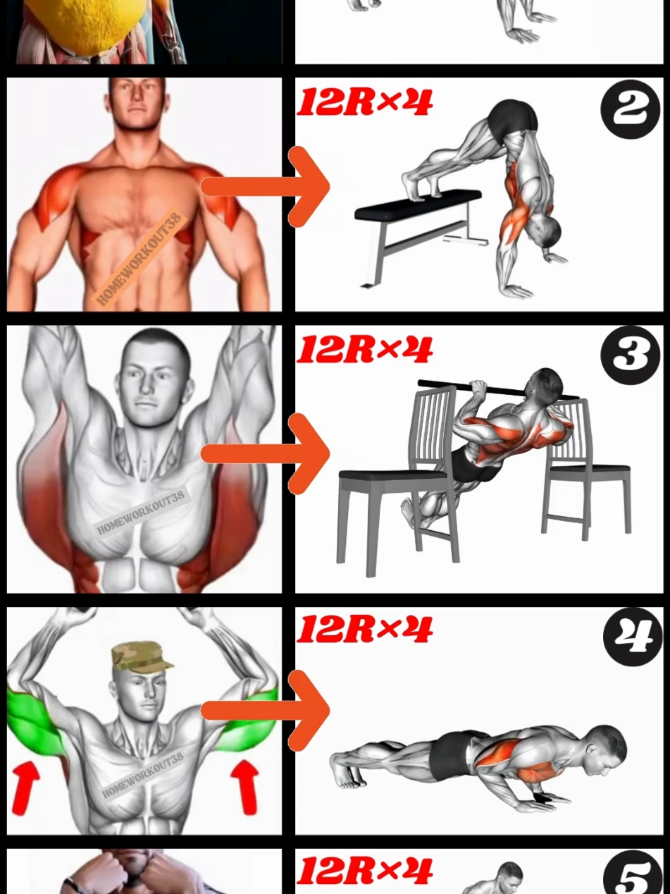 HOME WORKOUT. #Workout #homeworkout #streetworkout #Fitness #sports #LearnOnTikTok #fyp @HOMEWORKOUT @HOMEWORKOUT @HOMEWORKOUT 