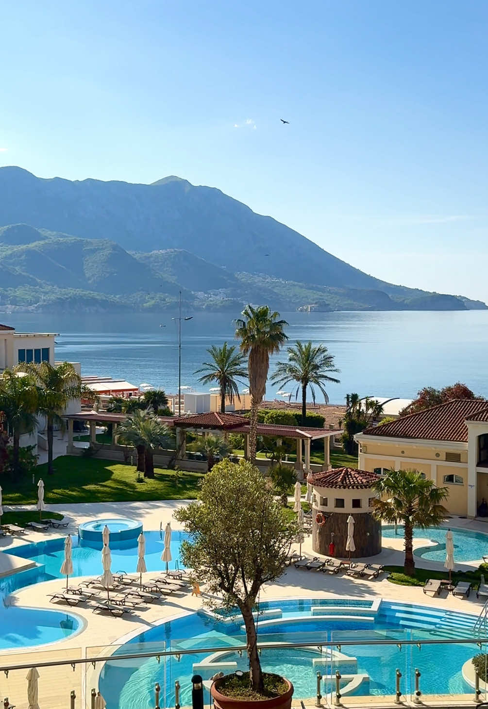 Mediterranean 🌞🌊⚓️🌴 📍Bečići - Budva, Montenegro #mediterranean #adriaticsea #budva #montenegro🇲🇪 #sea #europe #palmtrees #crnagora🇲🇪 #bečići 