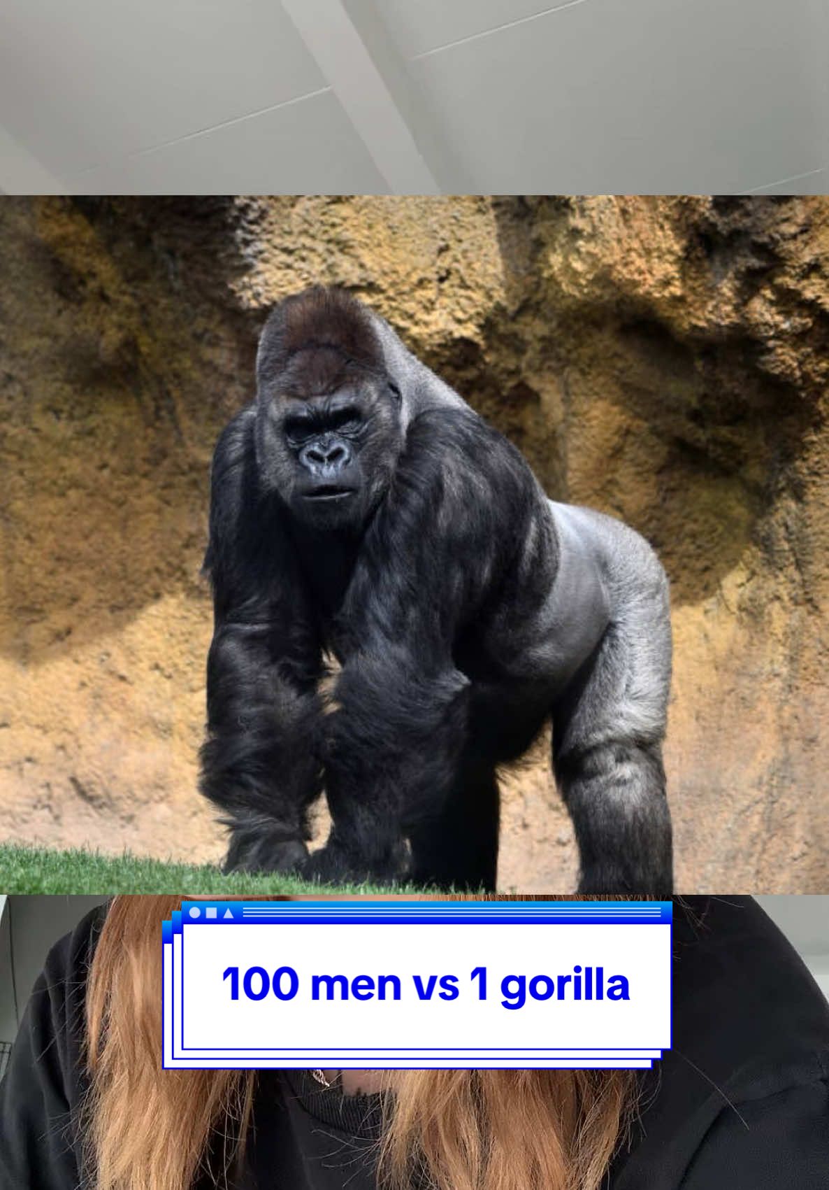 100 men vs 1 gorilla ?? #100MenVs1Gorilla #GorillaFightDebate #ManVsGorilla #ImpossibleBattle #AnimalStrength #WhoWouldWin #GorillaVsHumans #StrengthComparison #WildlifeVsHumans #GorillaDebate #BattleOfStrength #UltimateShowdown #HumansVsBeast #GorillaPower #FightScience #MythOrReality #StrengthInNumbers #ManVsBeast #ViralDebate #InternetArgument #GorillaStrength #BattleHypothetical #DebateClub #CrazyWhatIf #AnimalVsMan #FictionalBattle #GorillaWins #ManPower #WildBeastVsMan #SurvivalDebate #AnimalKingdomVsHumans #WhatIfScenario #GorillaVs100Men #StrengthVsStrategy #NatureVsHumans #MindVsMuscle #FeralStrength #UnbeatableBeast #GorillaChampion #PowerDebate men as in man kind ofc 