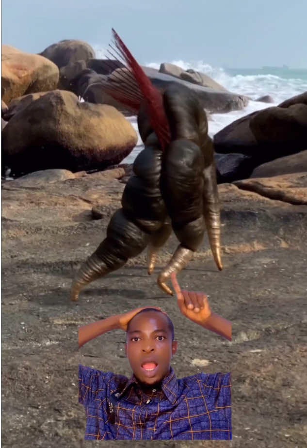 Olorun tobi loba #bosenlooo @Bosenlooo 