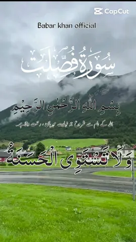 سوره فصلت#تلاوة_خاشعة #quran_alkarim🥰 #fyp #تصميم_فيديوهات🎶🎤🎬 #مشاهير_تيك_توك #ايات_قرآنية 
