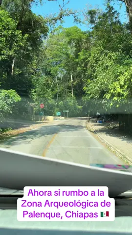 #palenque #zonaarqueologica #zonaarqueologica #viajeros #viajerostiktokers #chiapas #mexico #naturaleza #selva #conociendolugares #chiapasmexico🇲🇽 #travelagent #fyp #adventuresinfocus #agentedeviajes #porti #nature #vivelaexperiencia 
