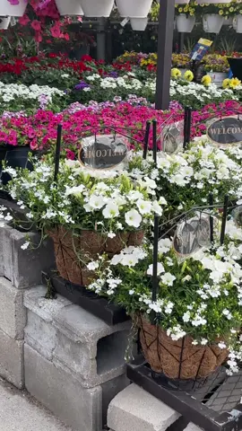 #gazebo #viraltiktok #homeimprovement #paratiiiiiiiiiiiiiiiiiiiiiiiiiiiiiii #floresamarillas🌻 #verano2025 