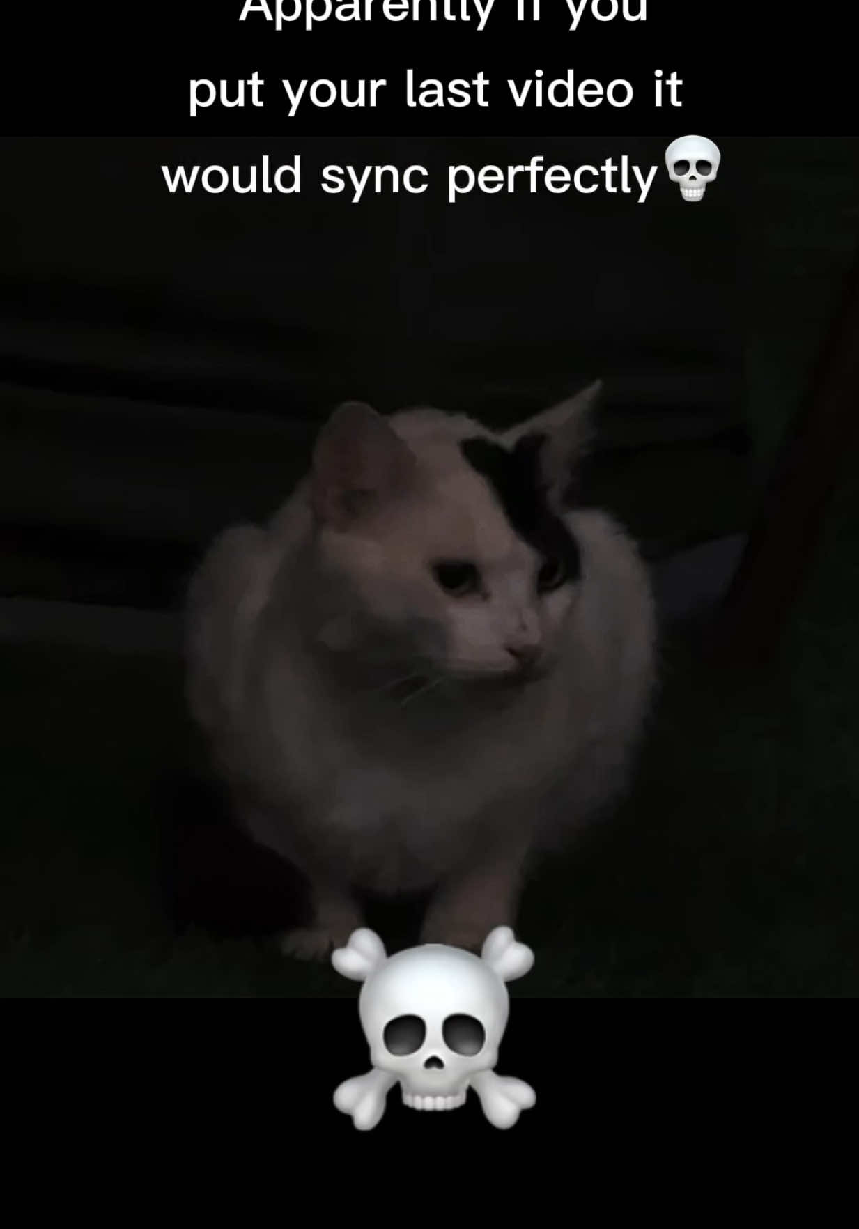 Gato con esencia 🗿 #funknocapcut #funk #funkcapcut 