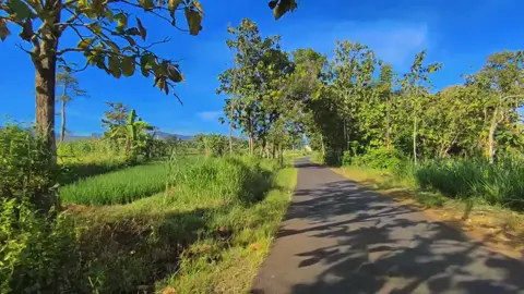 seperti biasa shoot with  redmi note 10 pro #fyp #fypp #fypviralシ #masukberanda #storytime #capcut_edit #xiaomi #redmi #redminote10pro #wonogiri24jam #solo24jam 