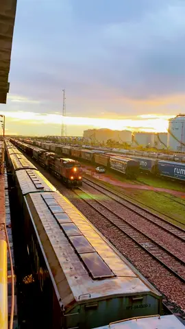 #rumologistica #ferrovia #brasil🇧🇷 #matogrosso 