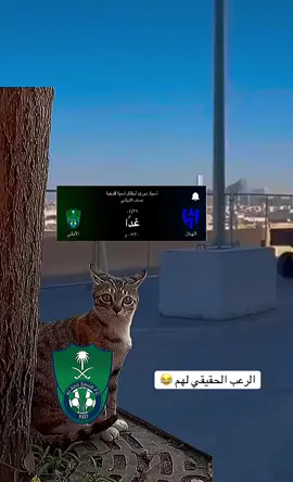 #الهلال_العالمي_بطل_اسيا_زعيم_اسيا #لايك_متابعه_اكسبلور #الوعد #الثلاثاء_موعدنا🙂 #الشعب_الصيني_ماله_حل #الهلال 