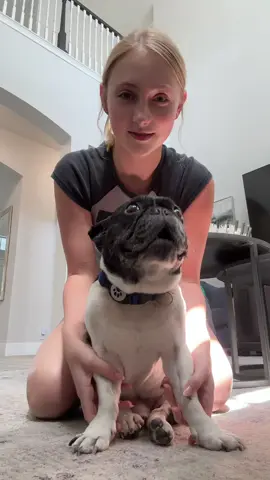 he just wanted kisses