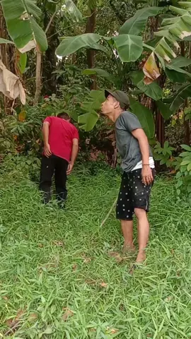 mau ketawa takut dosa video lucu bikin ngakak hiburan warga+62  #viral #trending #tiktok #viralvideo  #funnyvideos #fyp 