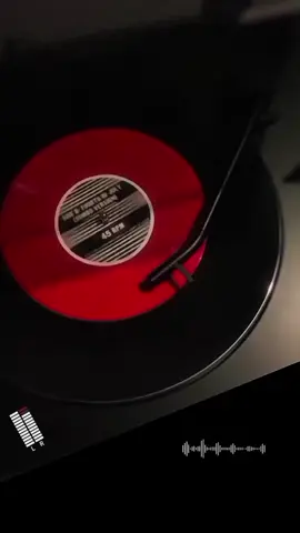 Compay Gato Los Guaracheros de Oriente #agozar #abailar #🕺💃 #musicatropical #colombia #😍 