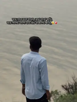 মরে গেলে চলে যাবো_রেখে যাবো স্মৃতি, মরে গেলেই ভালো হবে বেঁচে থাকলেই ক্ষতি_😅❤️‍🩹