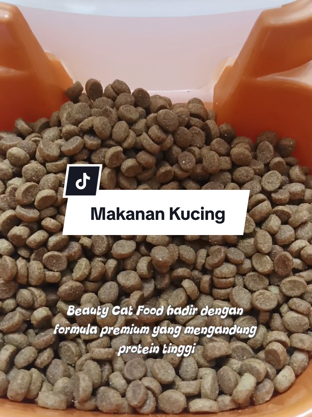 Beauty Cat food #makanankucing #BeautyCatFood #BeautyCatOfficial #catlover #kucing #viralkucing #fyp 