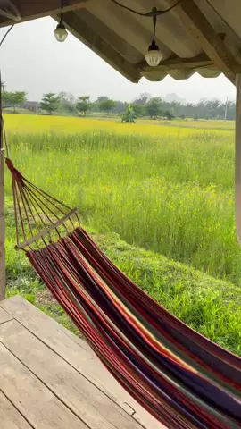 แบบพกพา เปลยวน280X80CM เปลญวนผ้าใบ(แถมฟรีกระเป๋าและเชือก) บ้าน เปลเดินป่าcamping hammock เปลรับน้ำหน#เปลญวนผู้ใหญ่ #เปลญวนผู้ใหญ่และเด็กนอน #เปลญวน 