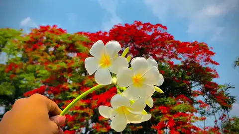 - প্রেমিকা থেকে স্ত্রী, এটাই তো ভালোবাসা!'🖤🌸#vairal_video #Foryou 