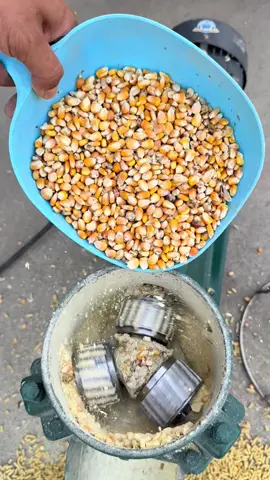 #feedpellet #pelletmachine #animalfeed #feedpreparation #pigfeed #grassfeed #corngrinder 