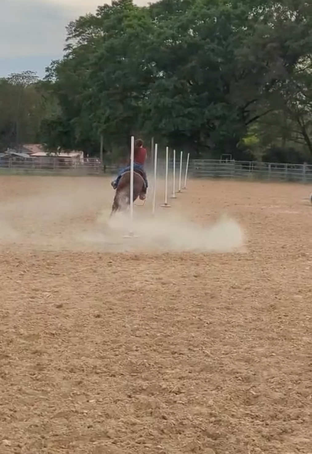 I can never quite stop running poles #polebending #barrelracing #rodeo #rodeotime #rodeotok 