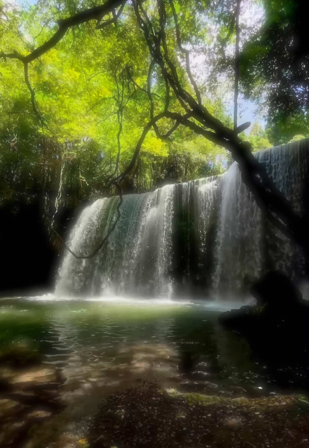 夏になったらここに行くって決めてる。 #nature  #雰囲気  #自然 