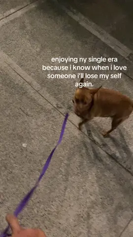 :<  #fyp #foryou #sad #doglovers #onecallaway 