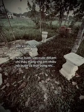 “anh xin loi nhe..