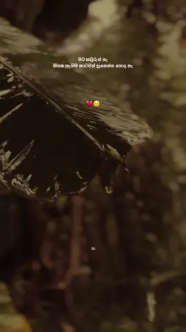 ඒක මහ පුදුමවේදනාවක් 😊💔#quotes #fyp #srilanka #vn #dil #Love 