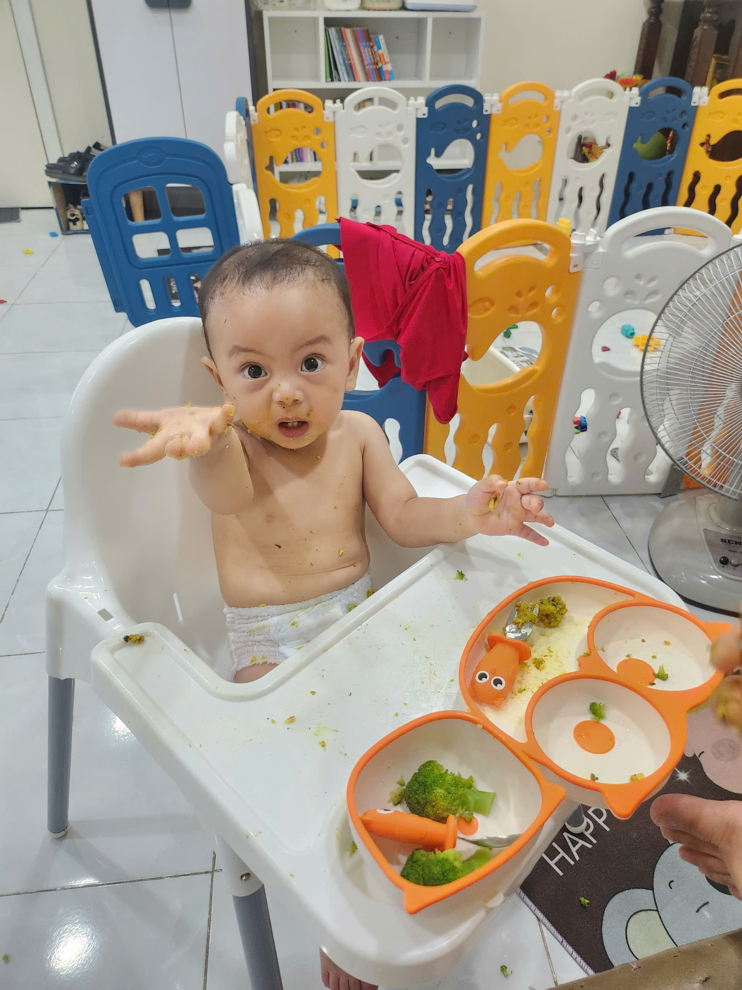 Chiếc sofa bed ‘biến hình’ đang làm mưa làm gió khắp TikTok! Gập ra là ghế – Bung ra là giường! #SofaBedMidas #GiườngGấpGọn #NộiThấtThôngMinh #SốngGọnSốngChất #ỞTrọXịnSò #CảmHứngMỗiNgày #LàmViệcThôngMinh