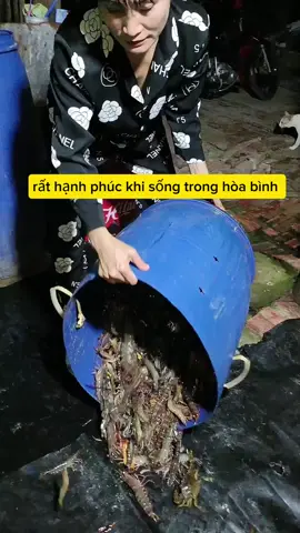 #CapCut #vuicungtiktok❤️cuộcsốngthườngngày  #Rất hạnh phúc khi sống trong hòa bình.