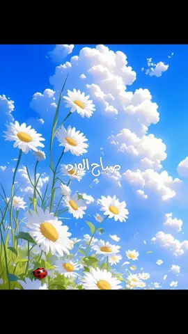 ##صباح_الخير #goodmorning #صباحكم_أحلى_صباح #اغاني_عراقيه #اغاني_عربيه #🌹🌹🌹 