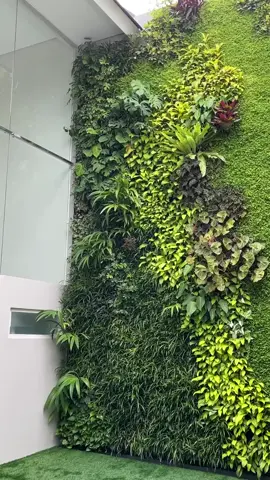 A glimpse of our vertical garden 🌳 #VerticalGarden #Greenorama #PlantLovers #UrbanJungle #GreenDesign #TamanAsri 