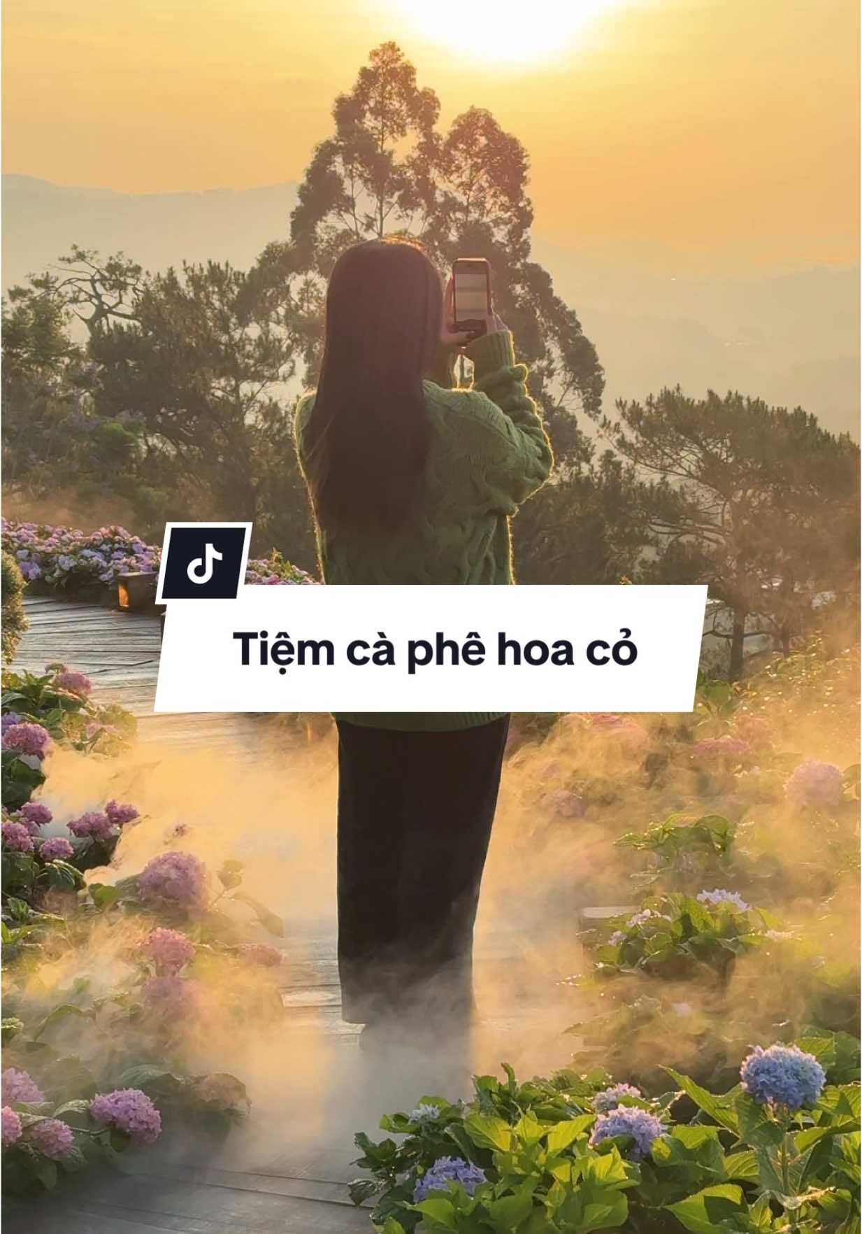 Một tiệm cà phê mới ở Đà Lạt có view rừng thông và vườn hoa xinh lắm. Tiệm cà phê Đi Cùng Mưa ở Đà Lạt. #banandalat 
