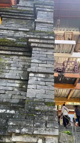 cinematic di guci forest #guciforest #cinematic 