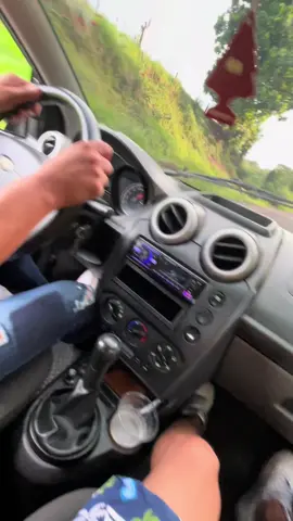 🎶✅