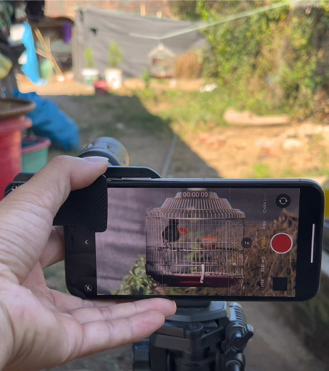 iPhone XS + lens 18x #telephonelens #lens #xuhuong #lens18x #xuhuongtiktok 