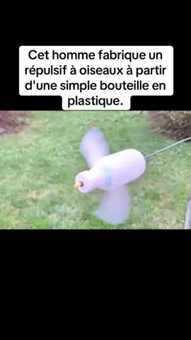 Cet homme fabrique un répulsif à oiseaux à partir d'une simple bouteille en plastique.#tik_tok #remodeler 