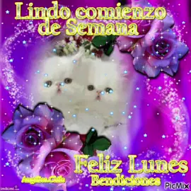 Feliz lunes 🙏🏻🌹🥰 #felizdia  #felizlunes #buenosdias  #greymerrr #estadosparawhatsapp 