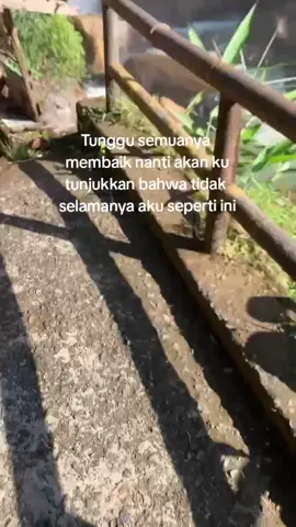tunggu giliran #fyp #remixlampung #orgenlampung #katakata #foryou #lampung #curup #rodaberputar 