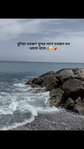 - দুনিয়া ততক্ষণ সুন্দর লাগে যতক্ষণ মন ভালো থাকে..!🙃❤️‍🩹#_humaira_567 #foryou #foryoupage #unfrezzmyaccount 