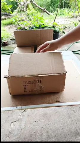 đèn năng lượng mặt trời mắt ngọc #suhuongtiktok #shopphukiengiare92 