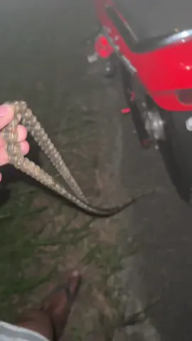 Tulongg😭#fyp #ninjass #xyzbcafypシ #4u #fypシ゚ #ninja150 #