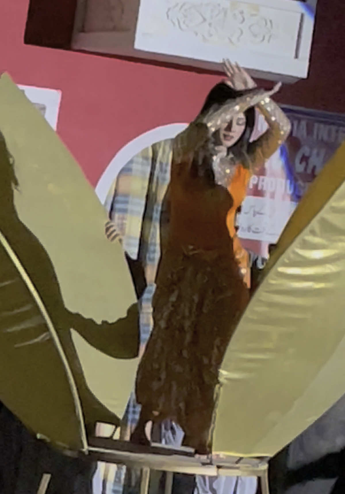 #HD #Nisha_Khan_SuperStar✨ #Mehfil_Theater_Lahore #fyp #viralvideotiktok #foryoupageofficiall #foryou @Nishakhan official @ঔৣMujra💃Lovers💞ঔৣ 