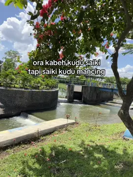 #foryoupage #mancing 