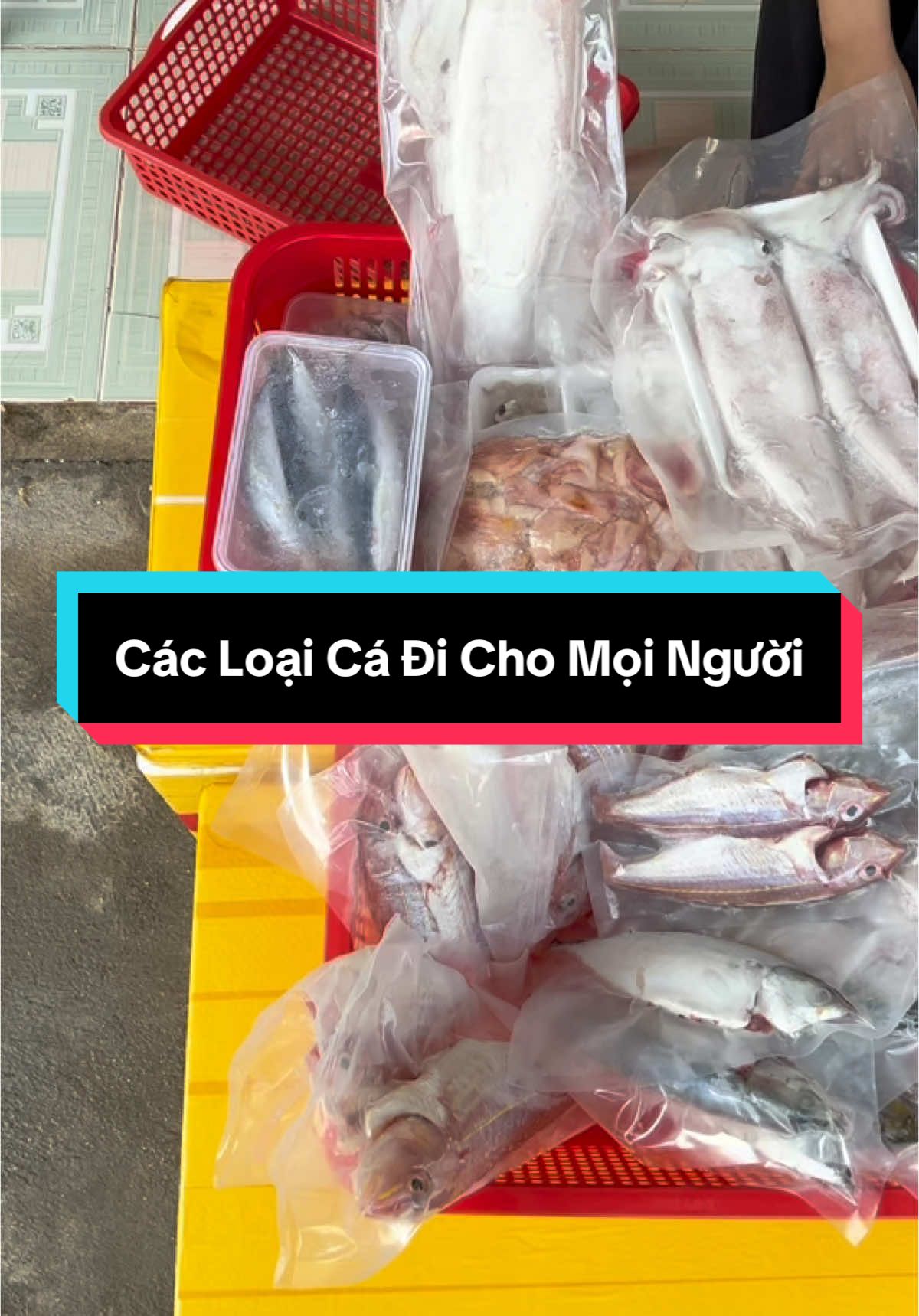 Đa dạng cá đi cho mọi người ạ #haisan #hảisản #cá #mực #catuoi #catuoimoingay #76quangngai #quangngai #fyb #xuhuong #thinhhanh #nyhaisancangbien 