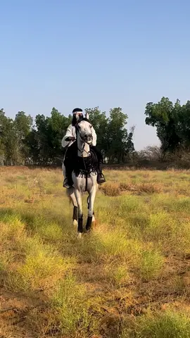 الشيخه سحاب استر عليها ماشاءالله🥱👑❤️‍🔥 . #اكسبلور #خيل_وخياله🐎 #خيل #السعودية #اكسبلورexplore #خيل_عربي_اصيل #explore #ماشاءالله #مشاهير_تيك_توك #خيول #الشعب_الصيني_ماله_حل😂😂 