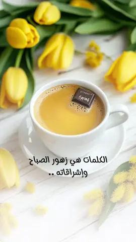 #capcutvelocity #صباحيات كلمات تزهر كل صباح  @؏ #CapCut  @؏ 