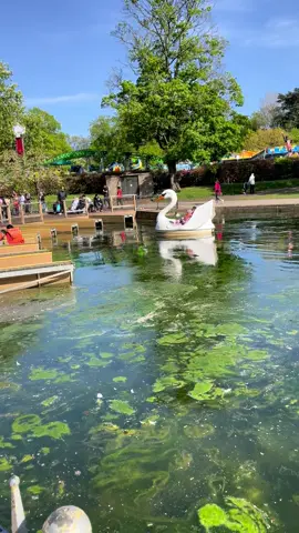 Cannon hill park #birmingham #england🇬🇧 #foryoupage❤️❤️ #uk #fpyシ 