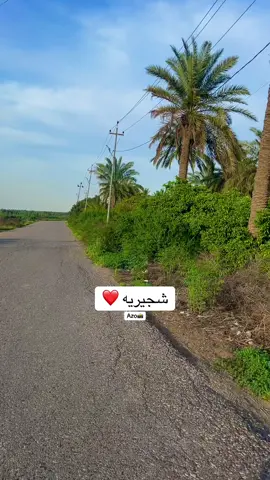 #الشعب_الصيني_ماله_حل😂😂🙋🏻‍♂️ #شجيريه_الساده 