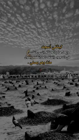 ليتني أسجد سجده 🤲🥹#هشام #اقتباسات_عبارات_خواطر #اقتباسات_عزف #اكسبلوررررر @♡𝐑𝐀𝐇𝐅♡ 