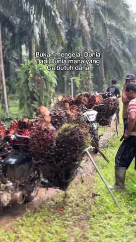 Hujan dan panas jadi saksi betapa susah nya mencari rezeki😶‍🌫️#jambipride #foryou #jambi #jambitiktok #kuli #kulisawit #sawit #sawitontiktok 