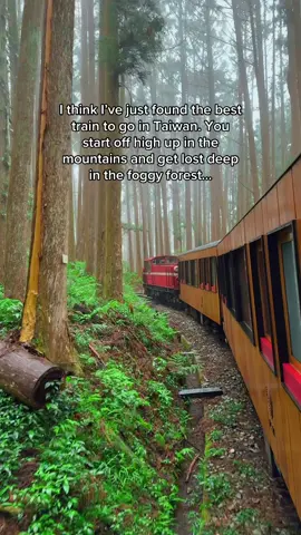 This is the Formosensis train on the Alishan Forest Railway and it’s honestly so amazing. You get food and drinks included and stop off in different spots along the way. There’s even a classical music performance at one point.  #Alishan #Taiwan #Travel #Formosensis 